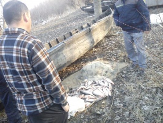 Plase ilegale, bărci şi peşte braconat, confiscate de Gardă